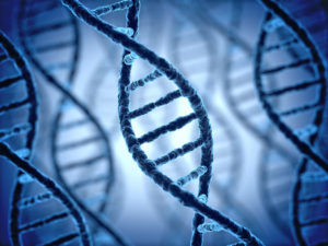 Estrutura do DNA